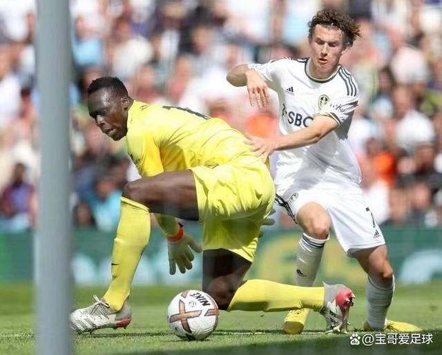 j9九游中国 -纽卡斯尔vs热刺预测